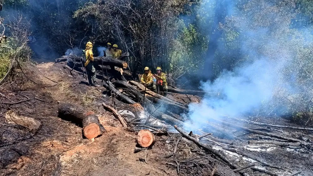 incendio melipal