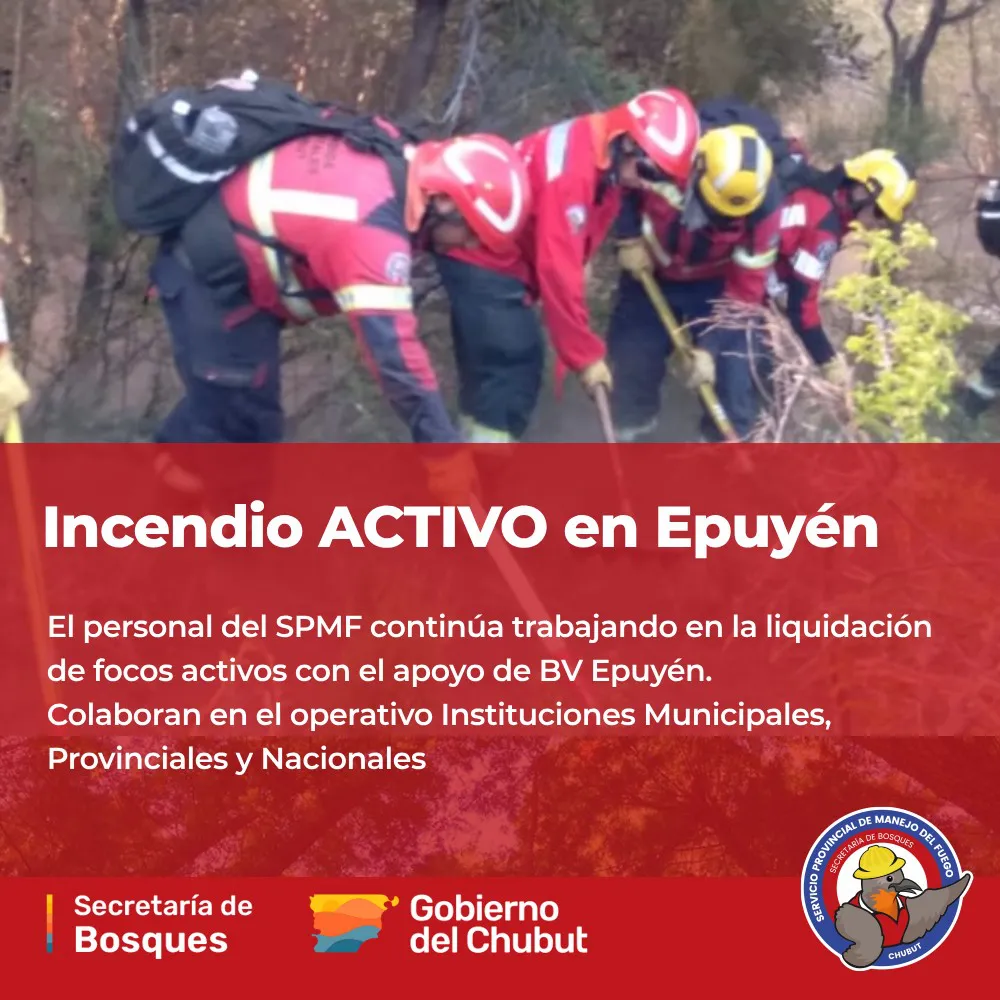 incendio epuyen 52