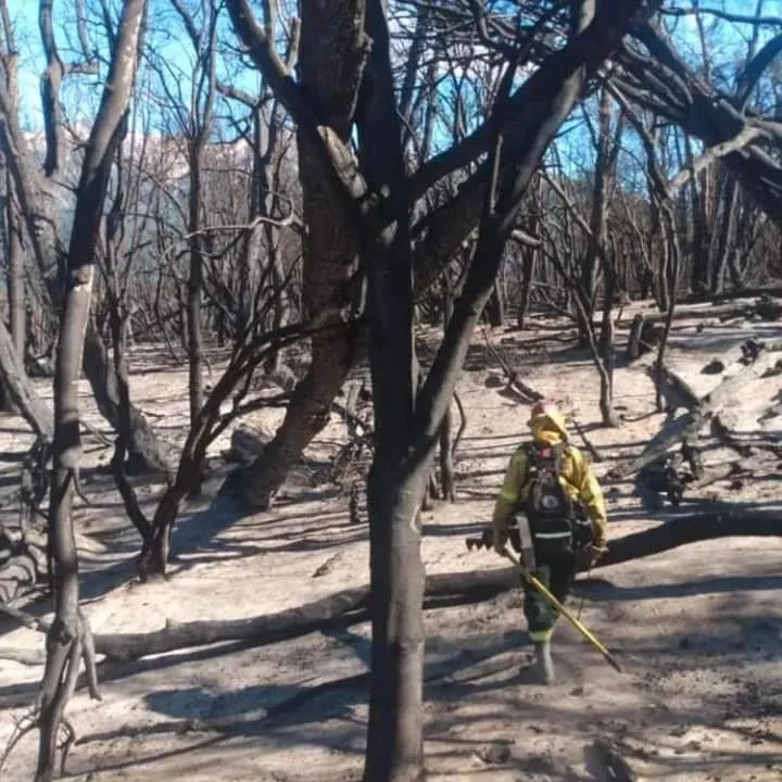 incendio los alerces 34