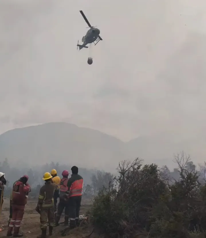 efab0b96-231b-4348-af02-293b11c32e8c