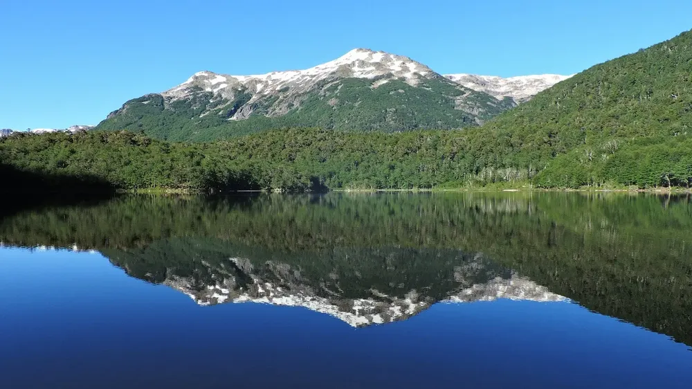 1767814623_2bed2a8f0f46a0aaf853