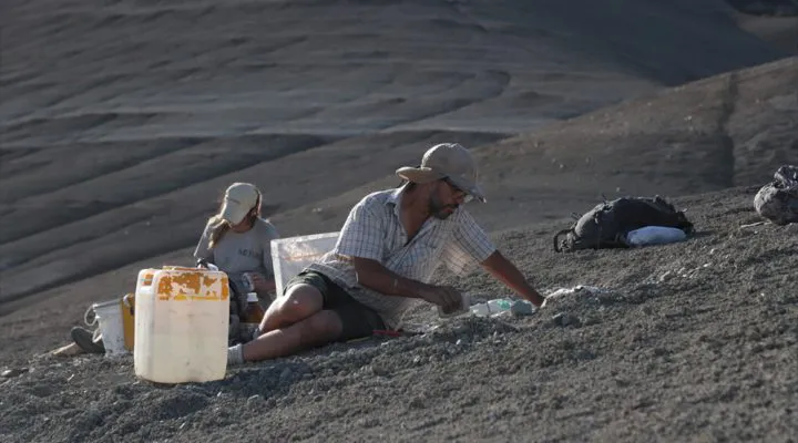 Koleken-web-2-720x400