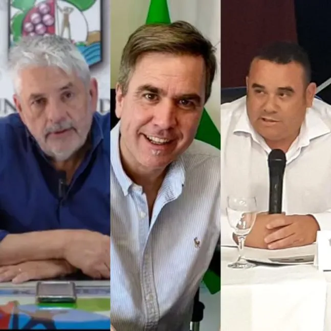 intendentes