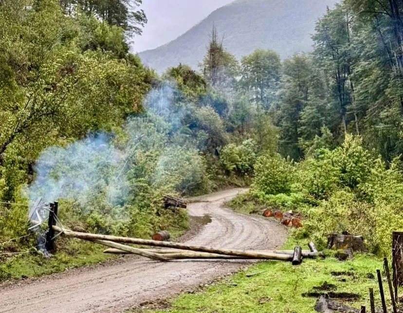 WhatsApp Image 2024-11-04 at 12.57.26