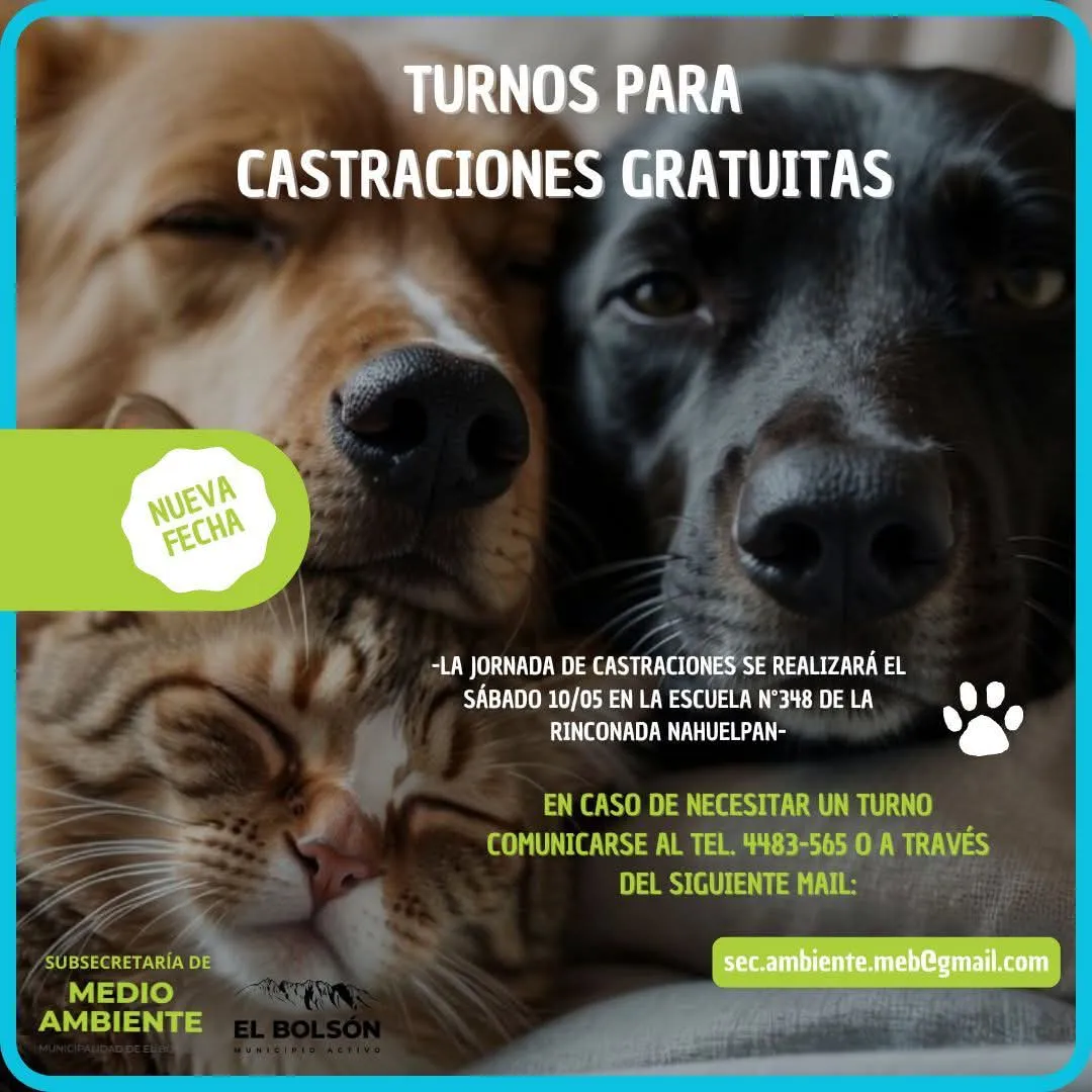 castraciones mayo 2