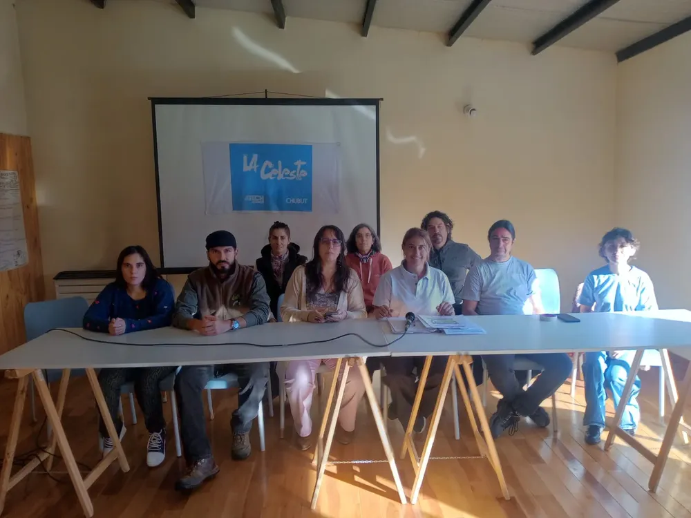 WhatsApp Image 2026-04-01 at 10.53.30