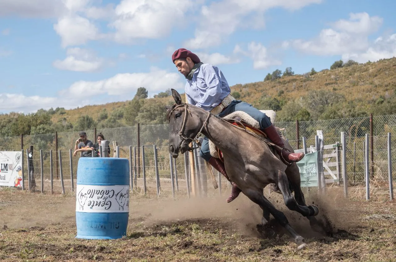 WhatsApp Image 2026-02-03 at 10.10.48 (4)