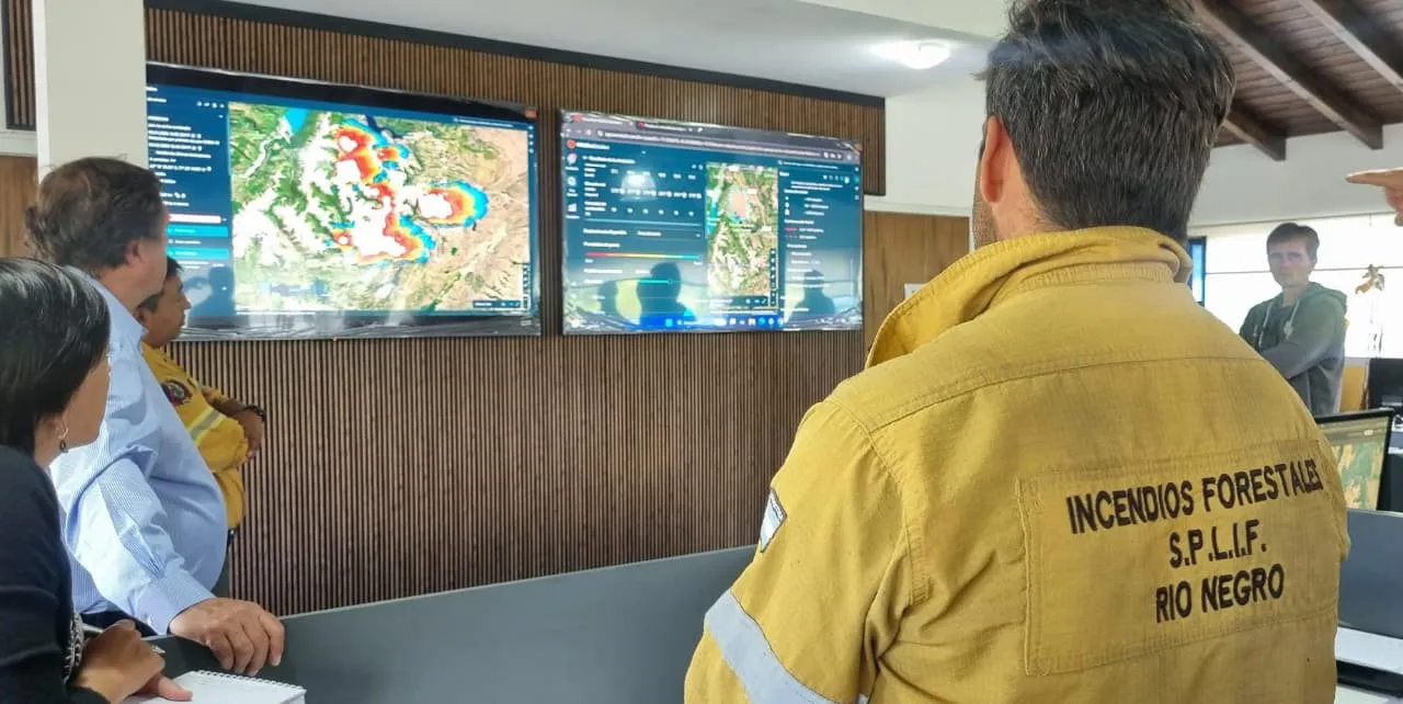 1770234415_d765c77a3da66d421050