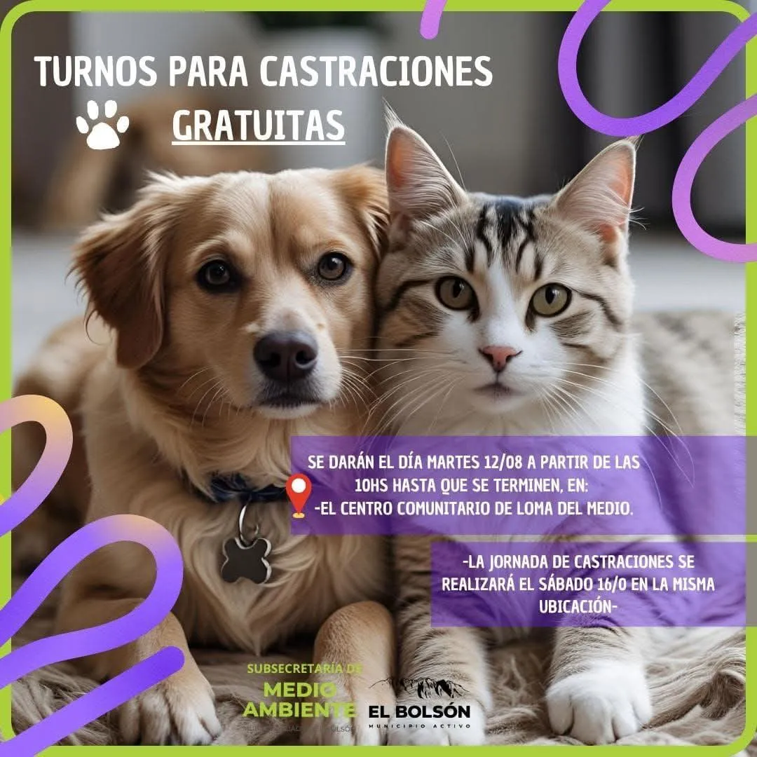 castraciones eb agosto 2