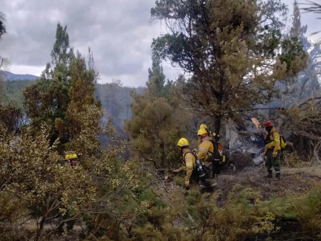 🔥 Continuan las tareas de SPLIF Bariloche en el incendio forestal de Puerto Patriada.Están abo (1)