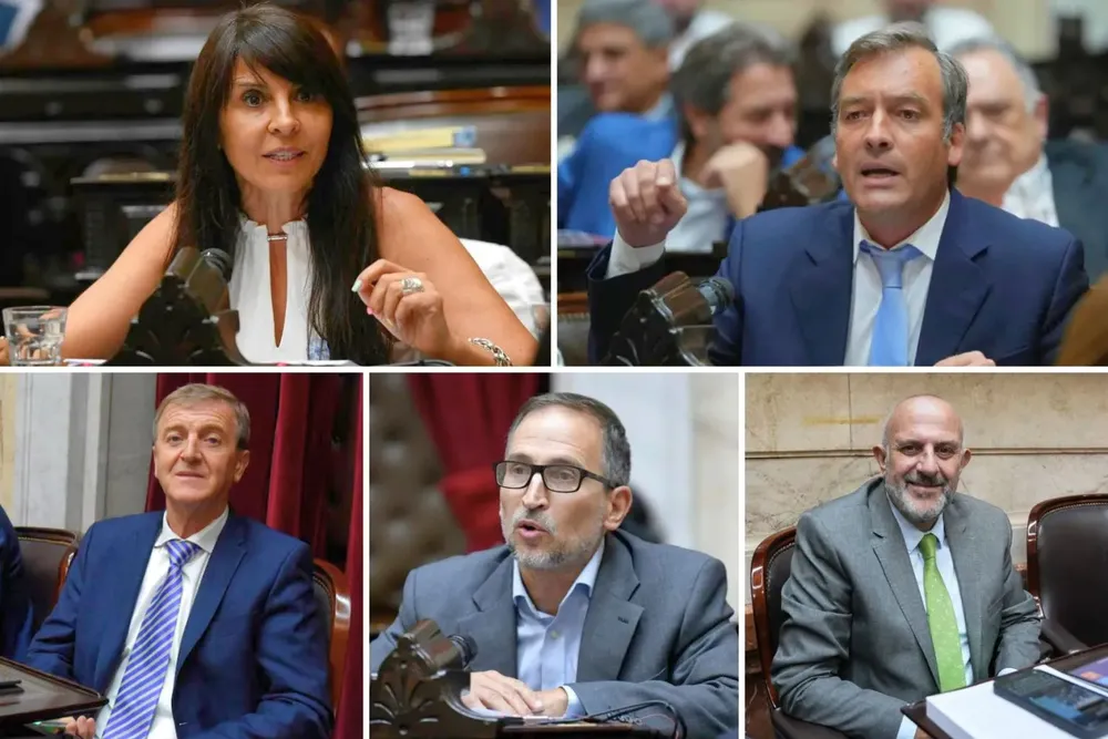 Diputados-por-Rio-Negro-1536x1024