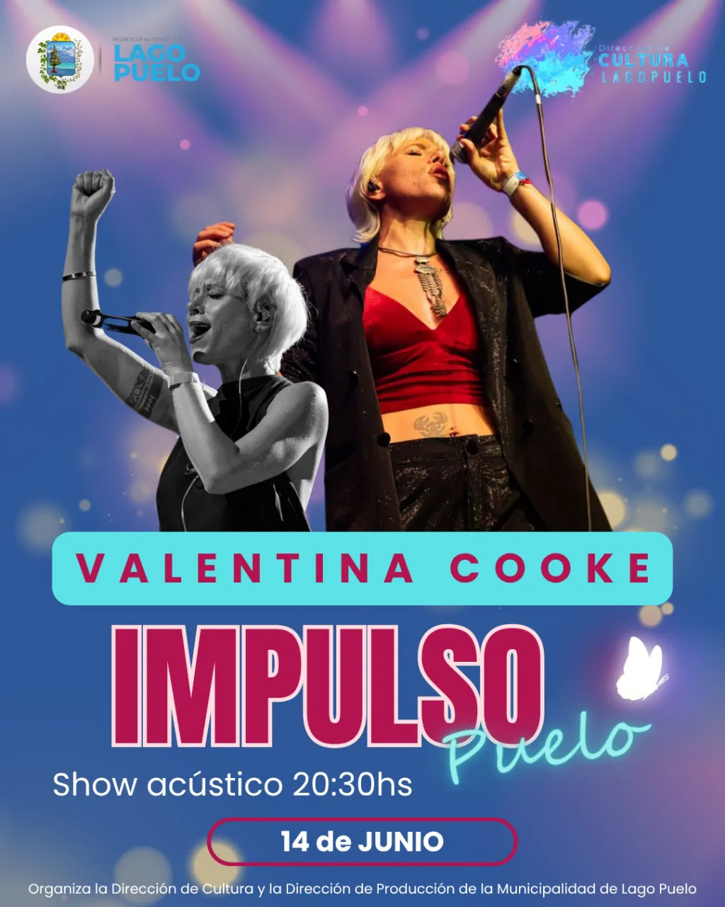 impulso puelo 3
