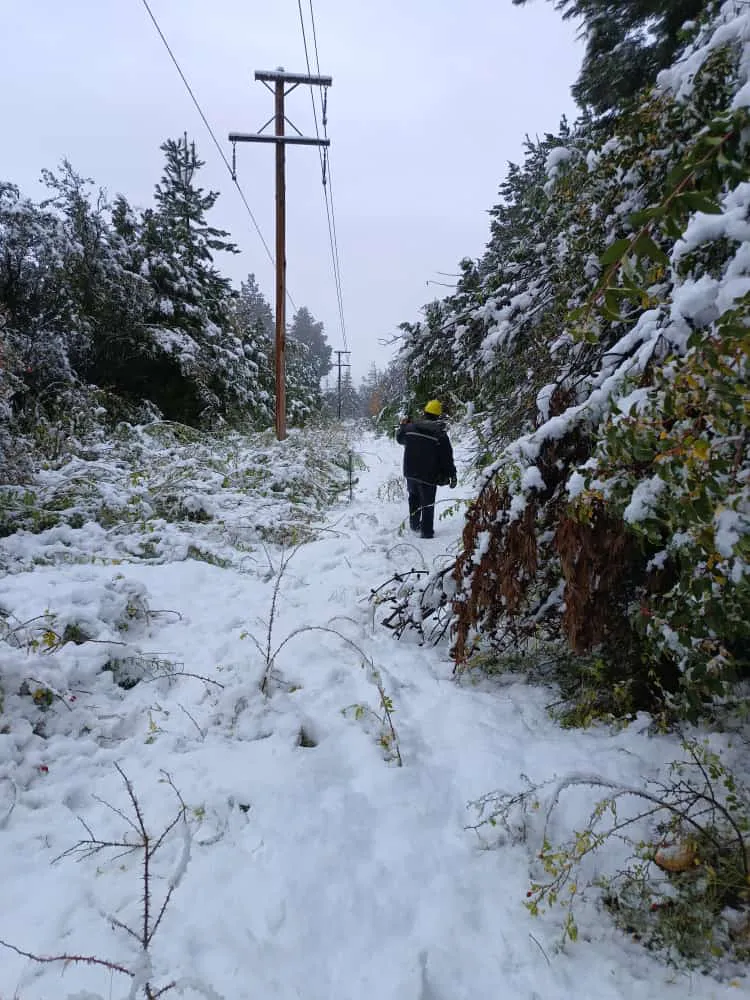 nevadas el coihue