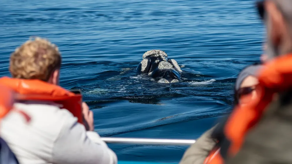 chubut finde largo 3