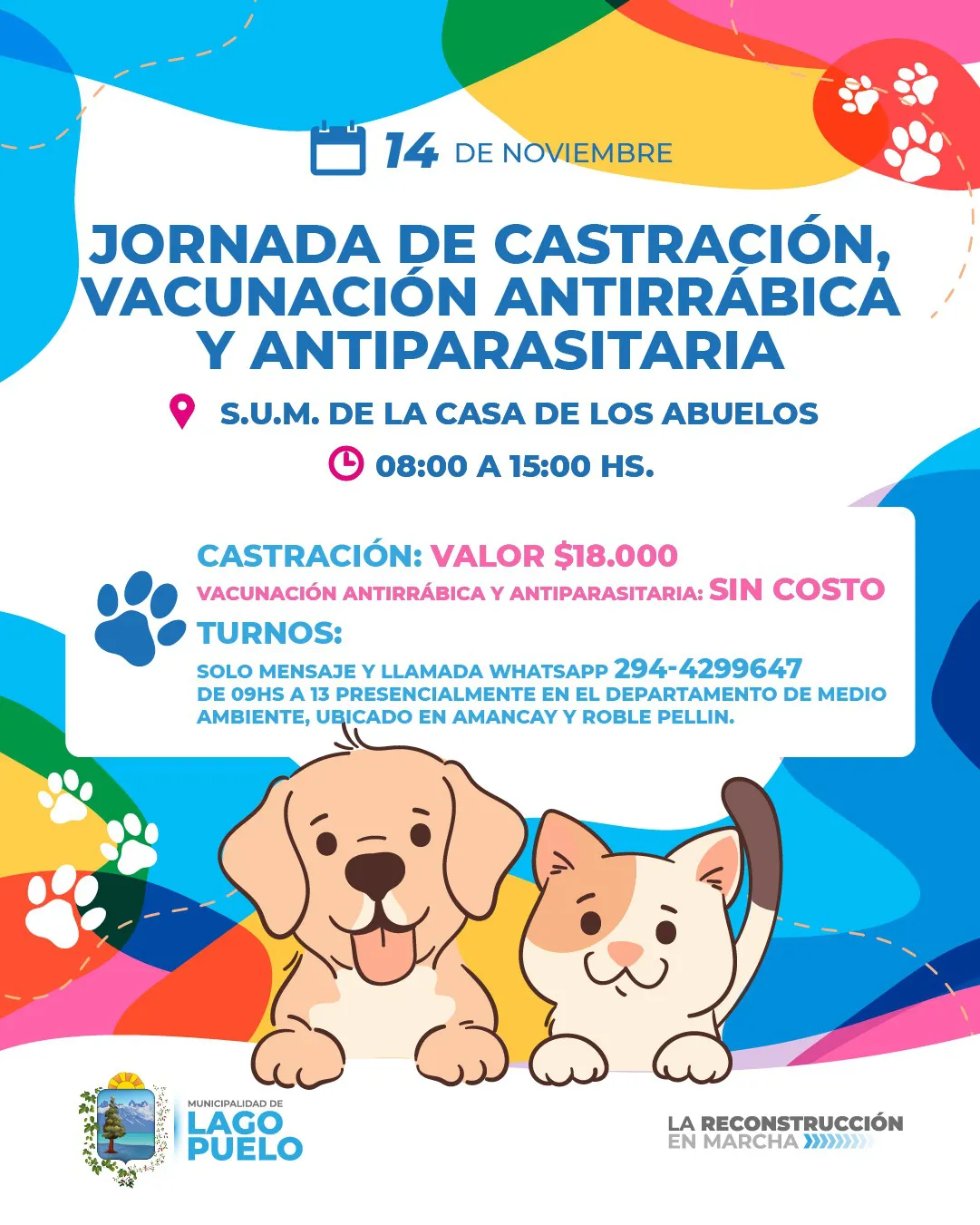 castracion lp nov