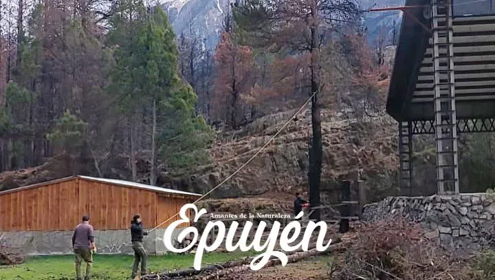 epuyen predio 2