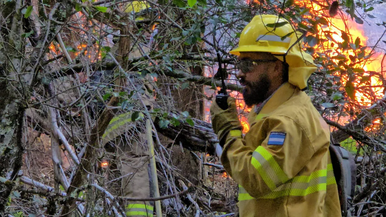 incendio los manzanos 78