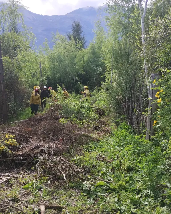 brigada forestal c