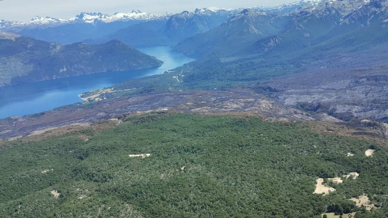 incendio los alerces 39