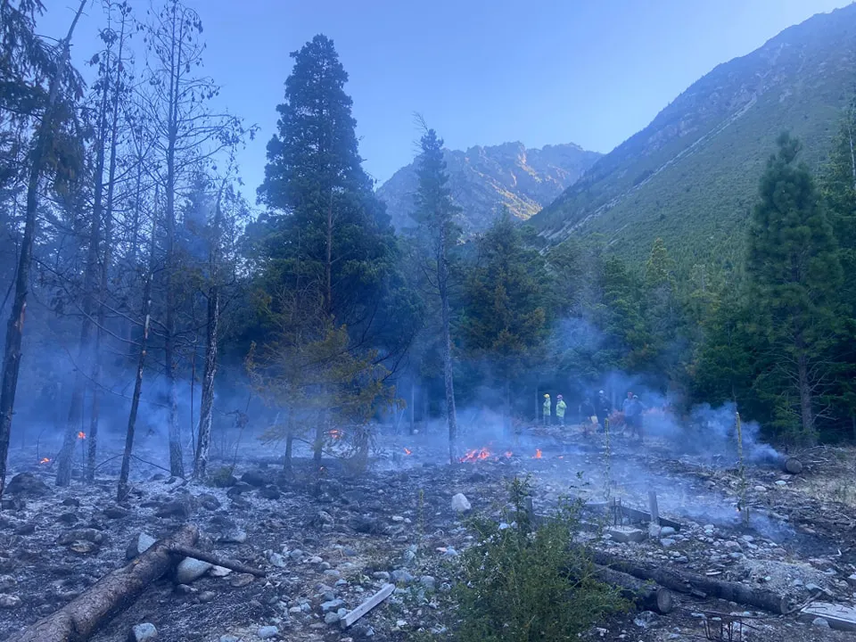 incendio pedregoso 1