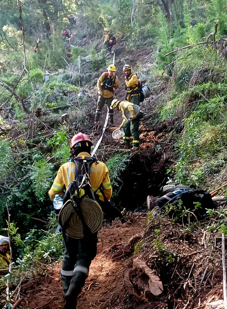 incendio los manzanos 19