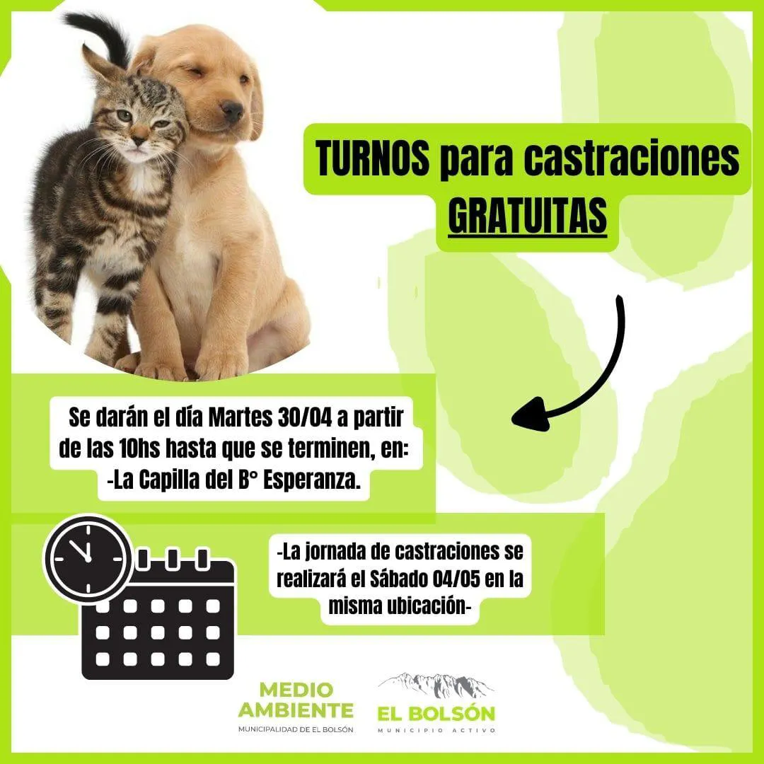 castraciones 4 mayo