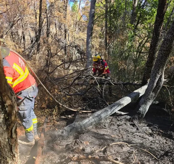 WhatsApp Image 2026-02-24 at 09.27.44