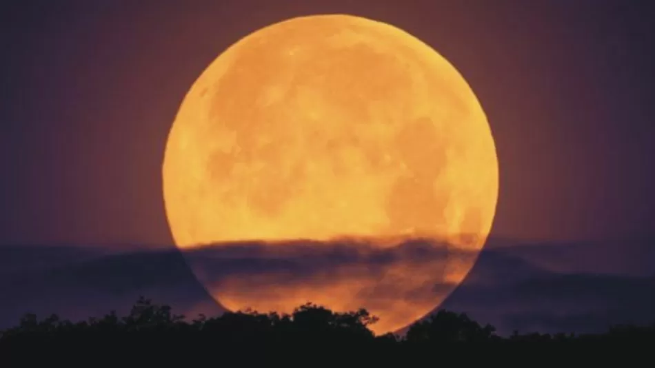 6635053428a6e-screen-and-max-width480px_950_534!