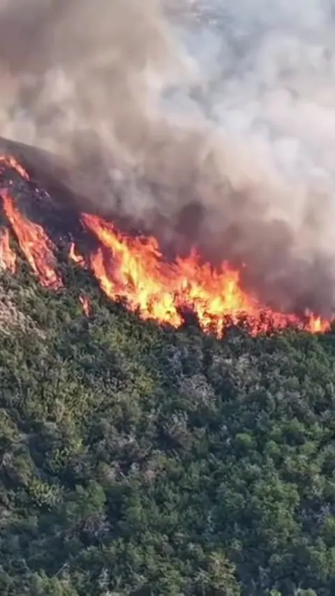 WhatsApp Image 2026-01-22 at 11.38.50