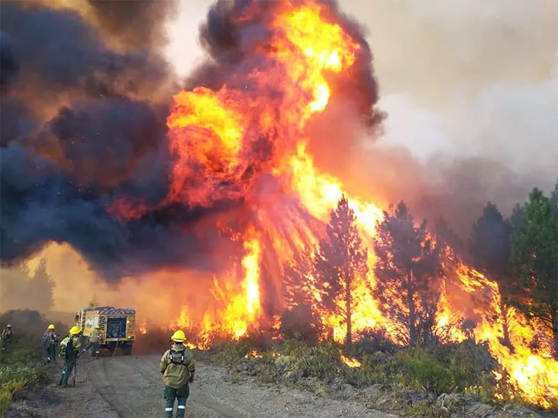 incendio forestal 1