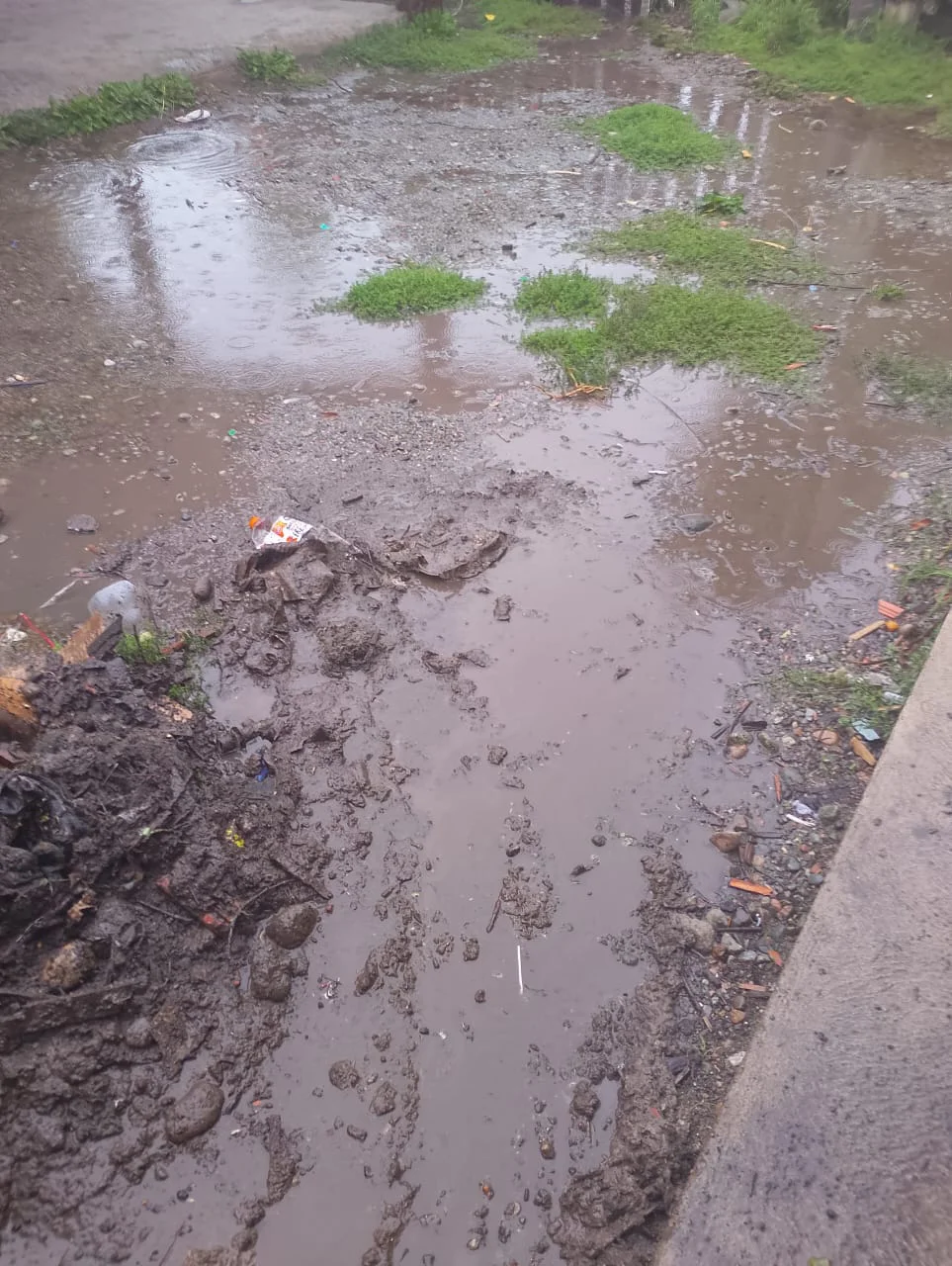 803e623b-f08d-4ac2-a3f8-1e9d8e83e571