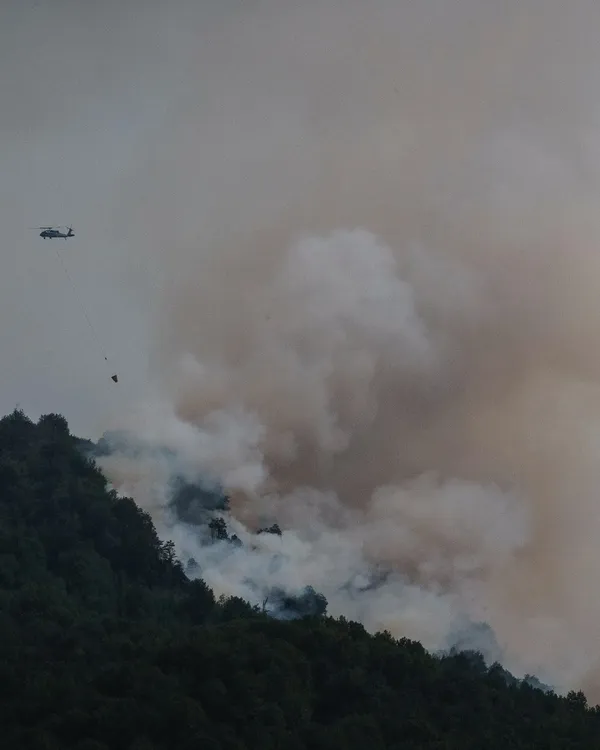 incendio lanin 1