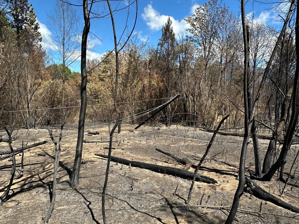 tendido electrico mallin 1
