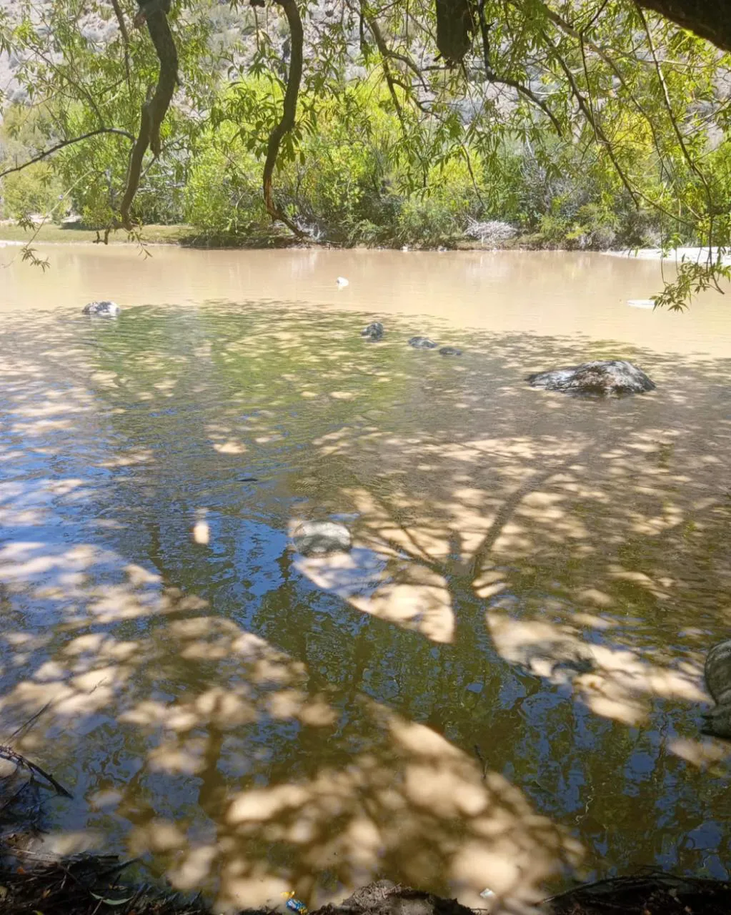 WhatsApp Image 2026-02-10 at 10.26.55