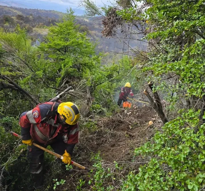 ef282a9c-b6f5-457e-ab0c-fc9e362b4ce4