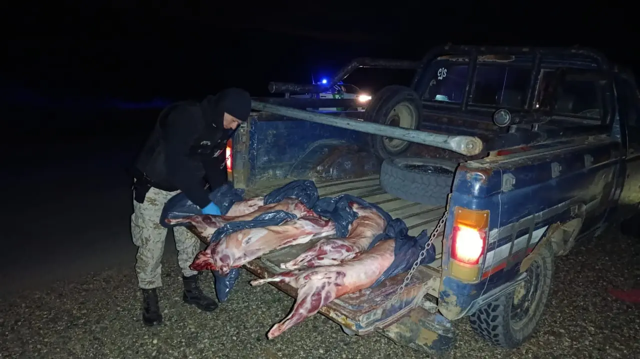 1766489059_75eaf983c9efee2c23be