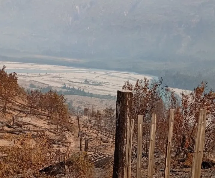 incendio el turbio 35