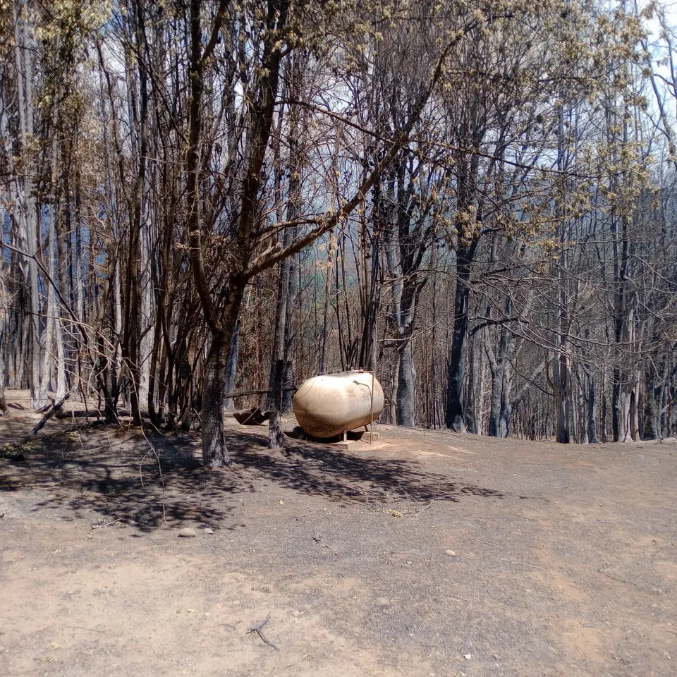 incendio mallin 36