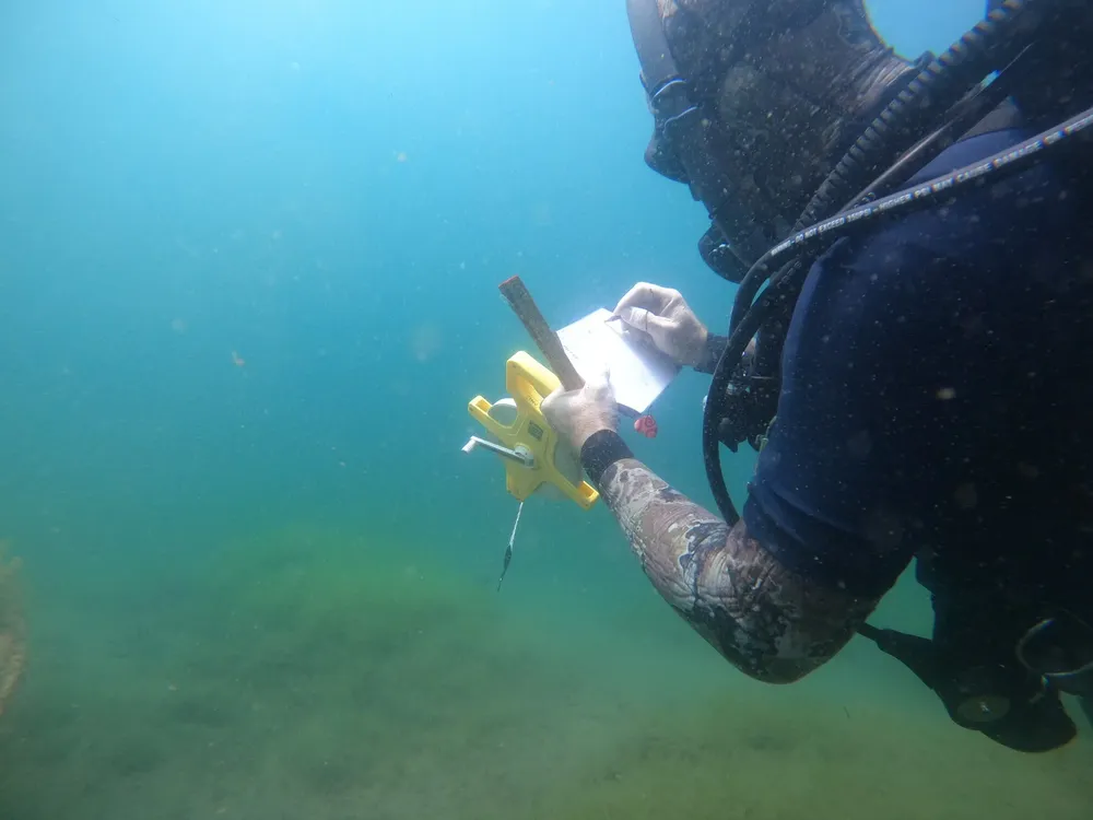 WhatsApp Image 2026-03-12 at 15.22.37 (1)