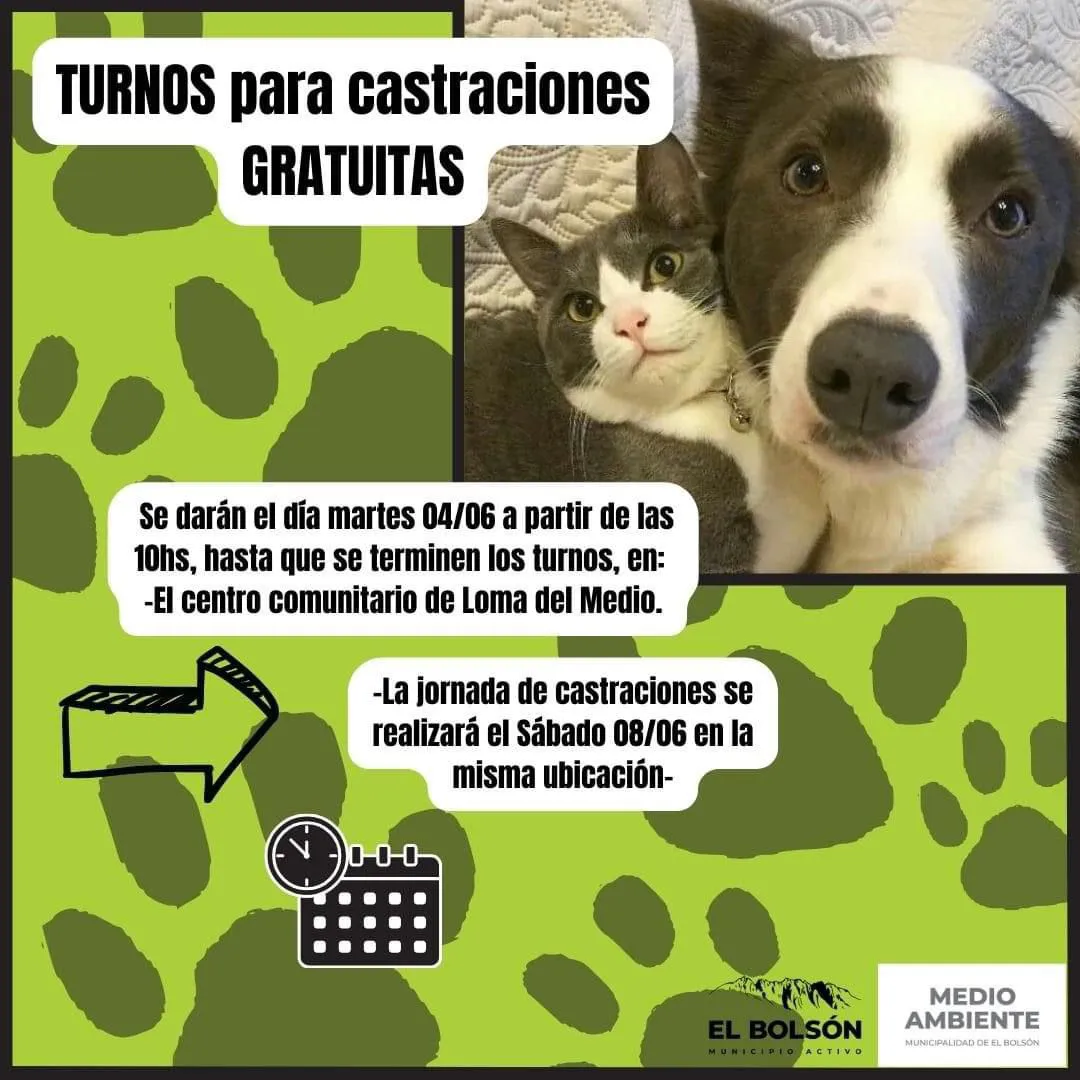 castraciones 4 junio