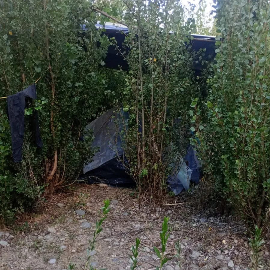 WhatsApp Image 2026-02-10 at 16.21.12 (1)