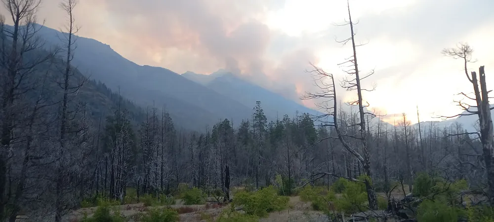 incendio los manzanos 53