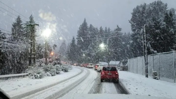 nevadas bari 2