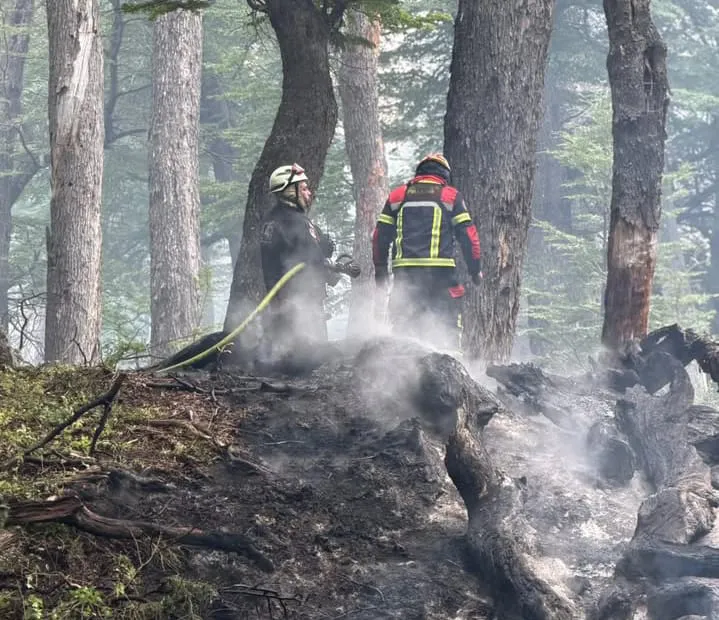 fda0d52c-f8ef-47fe-b630-e101395363b8