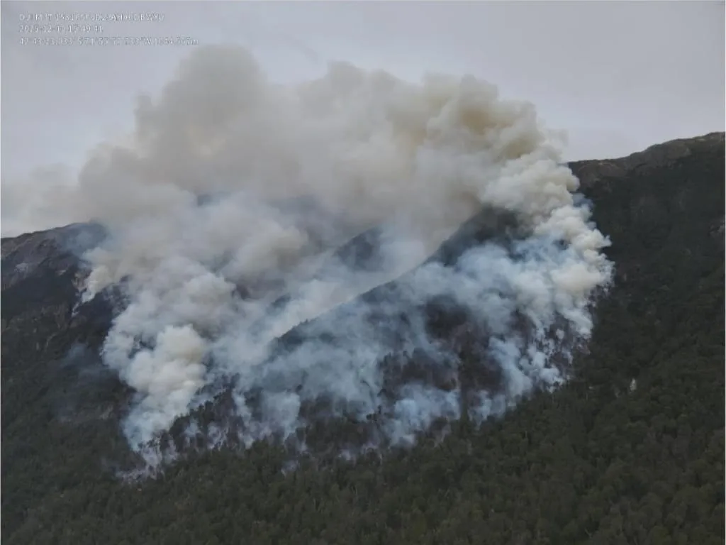 incendio los alerces a