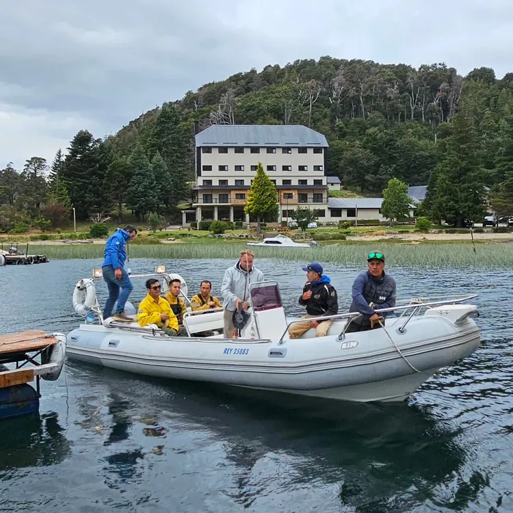 incendio brazo tristeza 3