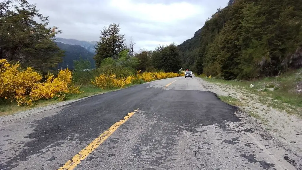 1763119707_2274d4bbe1832af17a0f