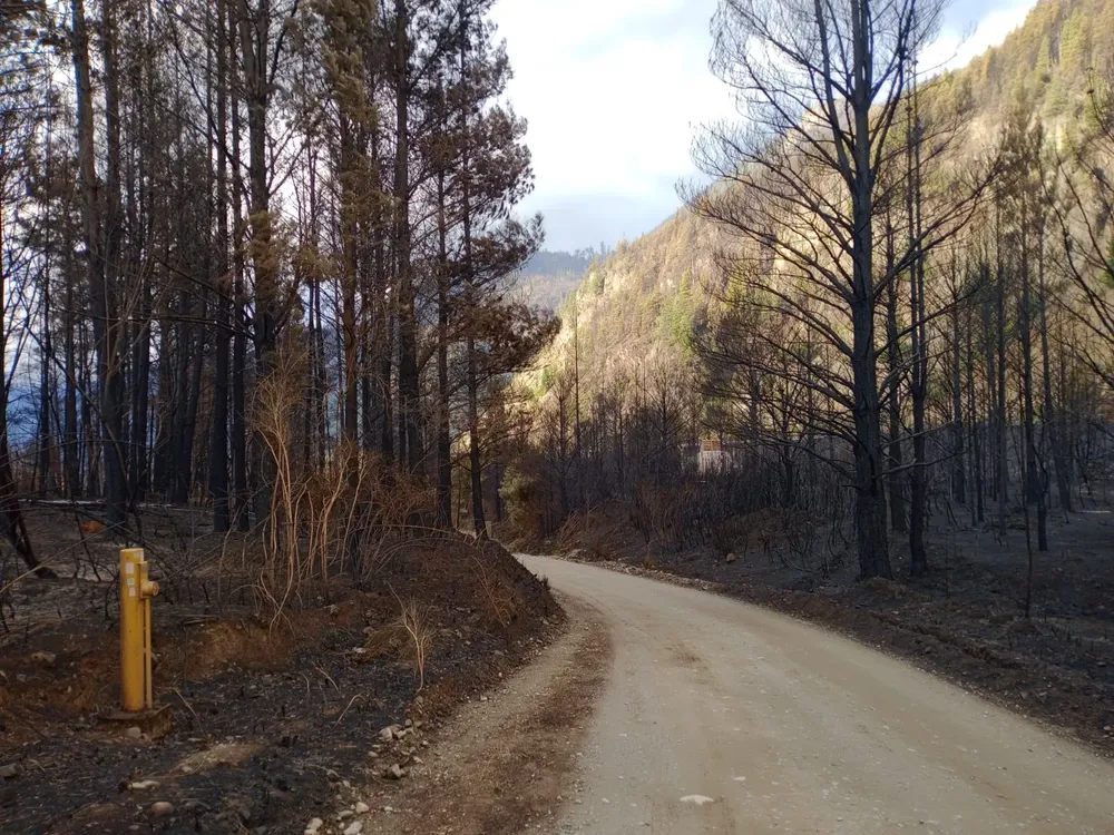 epuyen incendio 2026