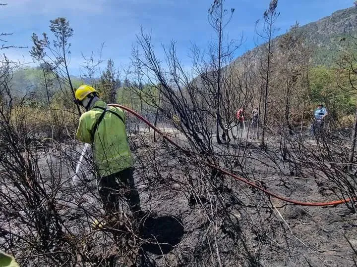 incendio rincon lobos 1