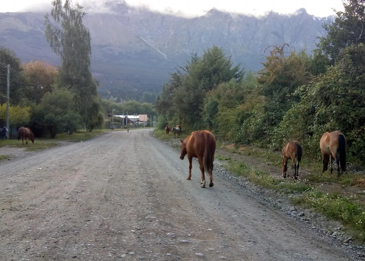 caballos sueltos eb